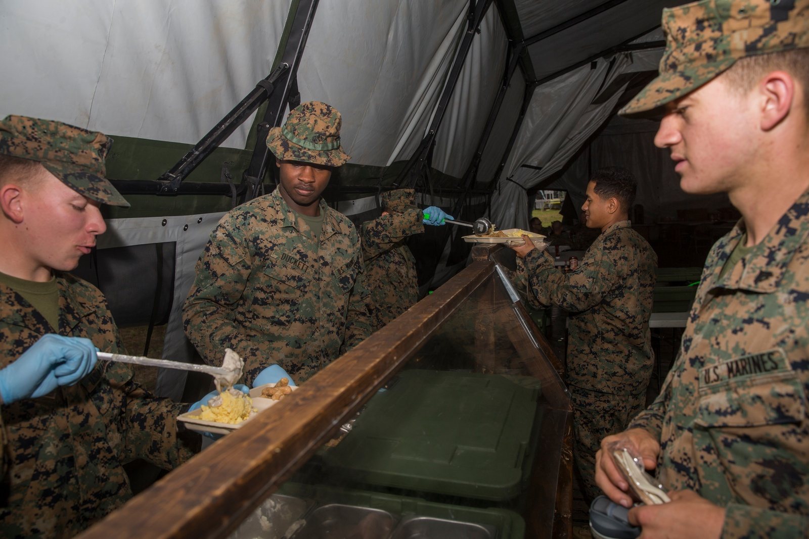 Field chow