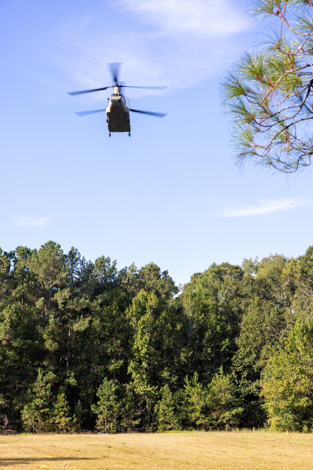 Chinook arrival